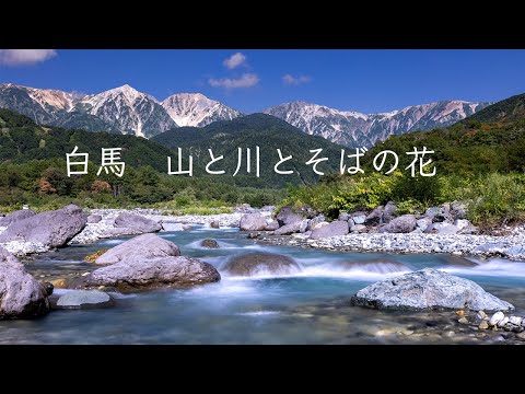 白馬 山と川とそばの花