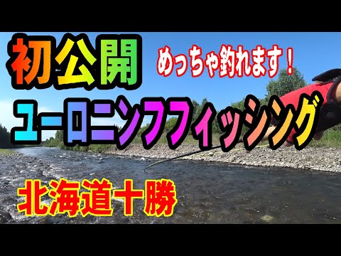 2025.6.24　初公開　ユーロニンフの釣り　めっちゃ釣れます　トラウト王国北海道十勝の釣り　つり部会ガイドサービス　＃ユーロニンフ