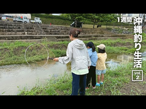 【沖縄釣り生活②】沖縄の川に潜む外来種をガサガサで捕獲！まさかの魚を調理して食べてみた結果…