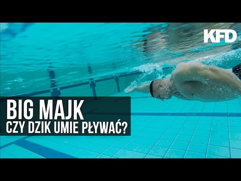 BIG MAJK: Poranne cardio i relaks w Aquaparku - KFD - UCCwsb6pCsJYFp53h9prxXtg