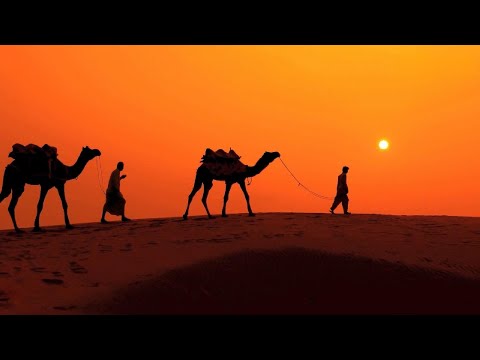 The Mystery of the Sphinx | Hidden Secrets of Egypt #Sphinx #AncientEgypt