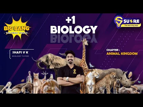 XI BIOLOGY | CHAPTER 4 | ANIMAL KINGDOM