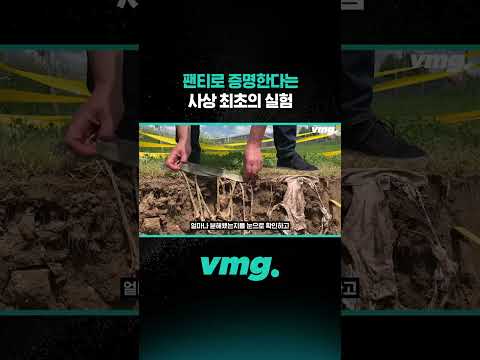 팬티로 증명한다는 사상 최초의 실험 / 비디오머그 #shorts