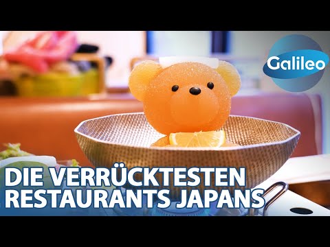 Feuernudeln und Teddy-Onsen: Die verrücktesten Restaurants Japans