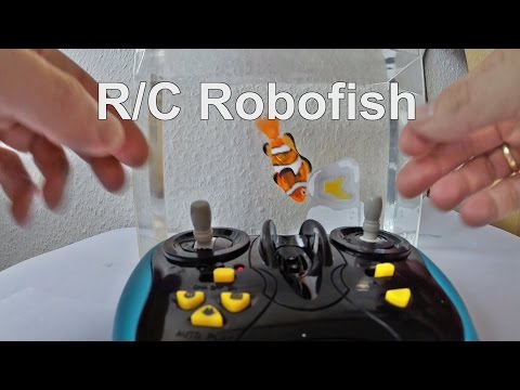 R/C Robofish Schwimmtest - UCNWVhopT5VjgRdDspxW2IYQ