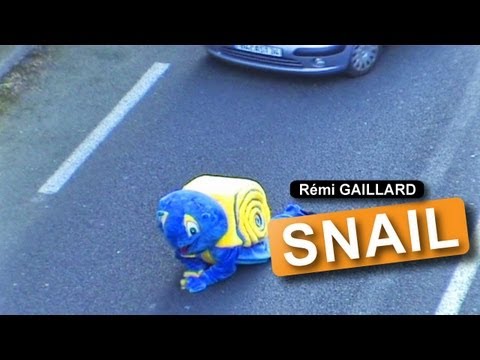 The snail (Rémi GAILLARD)