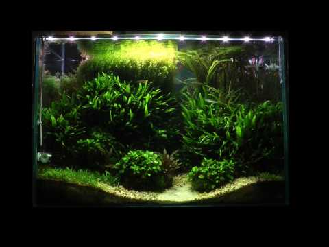 Planted Tanks Revisited_ Altitude & Escarpment The Art of Aquascaping Book now is available to download- https_//www.thegreenmachineonline.com/aqua