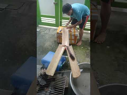 Ang isda matalino #video #trending #funny #fyp #viral