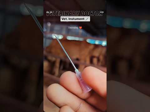 animal tretment !1 animal doctor || #animals