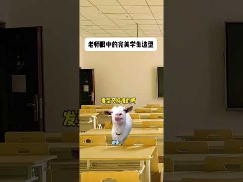 猫の動画サムネイル - 老师眼中的完美学生发型#有趣 #猫meme #猫meme剧场 #猫meme小剧场 #内容过于真实  #故事 #貓 #猫猫meme小剧场 #喵不可言