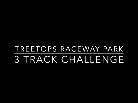 Treetops Raceway Park Diecast Racing