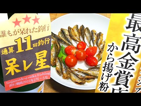 呆れ星11回受賞!! 大磯港は小サバ祭りｗ