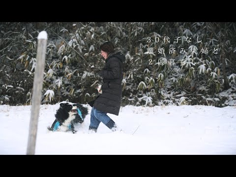 ３０代離婚済み夫婦｜田舎の厳しい冬に見つけた愛犬との幸せ【ボーダーコリー】