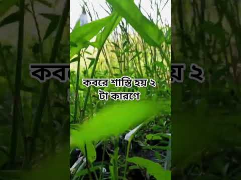 কবরে শাস্তি বেশি হয় কেন#shorts #shortsvideo #islam #foryou