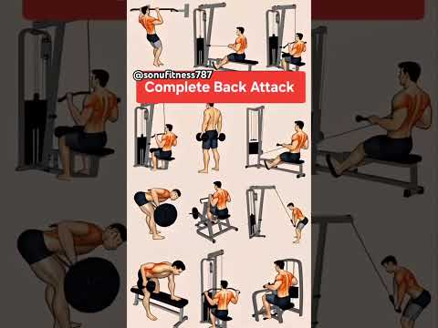 Complete Back Exercise Fitness plus | fitness | fitness workout | #fitness #shorts #viral