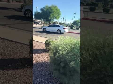 You Can’t Buy Anything Anymore — Unless You Wait for It to Ship