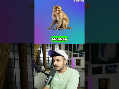 Avoid Saying The Same Thing As Me Challenge (HARD Edition)