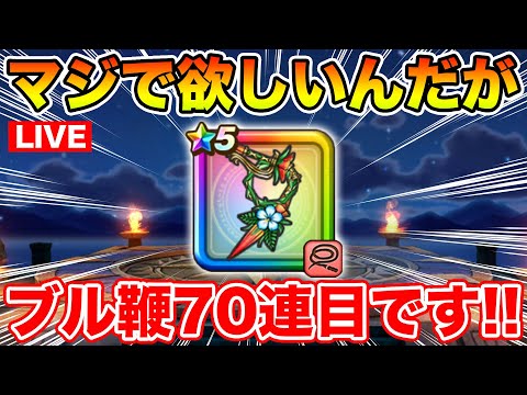 【ドラクエウォーク】おまたせしました、今日からまたブル鞭生活始めます!!【DQW】