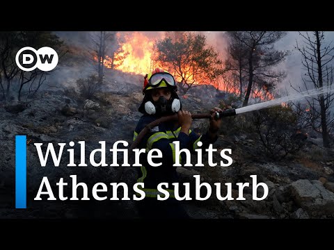 Large wildfire damages homes near Athens, evokes memories of last year's devastation | DW News