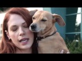 Amanda Righetti Encourages Animal Adoption