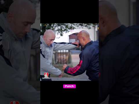 The simplest defense punch combination in Wing Chun #wingchun #technique #training