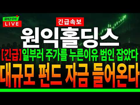 [원익홀딩스 주가전망]"긴급"일부러 주가를 누른이유 범인 잡았다 대규모 <strong>펀드</strong> 자금 들어온다 #원익홀딩스 주가전망 #원익홀딩스대응전략