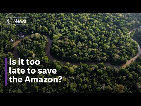 Politicians, activists and campaigners to gather in Brazil for talks on protecting the Amazon