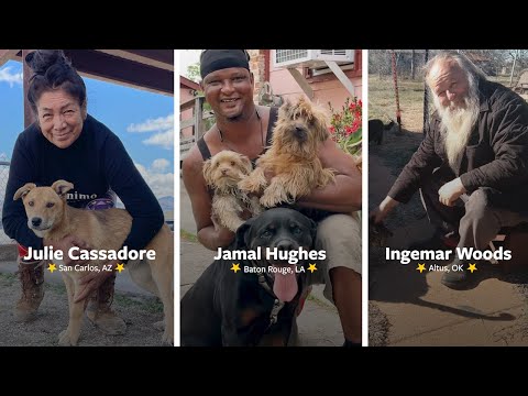 Vote for the More Than a Pet Community Hero!