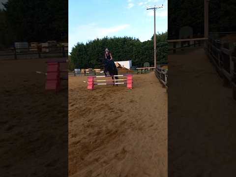 #horse #equestrianjourney #equestrianriding #horsebackriding #riding #horseriding #horsegirl