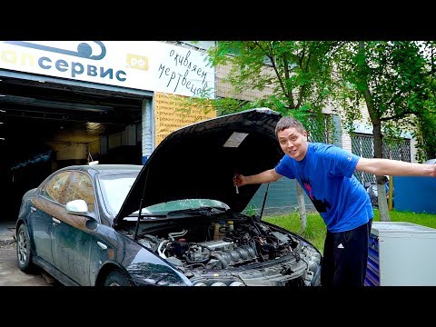 Альфа тоже хочет жить! - UCG4yz4wtp2E5S62L06yqC9w