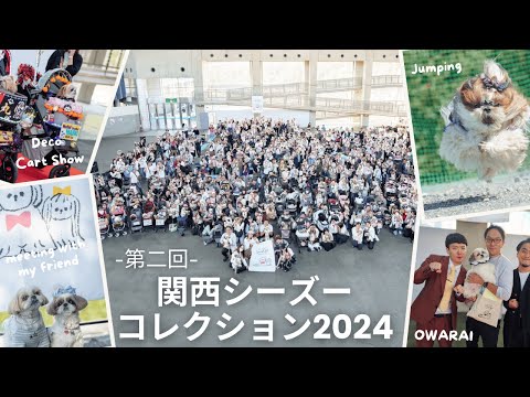 【第二回関西シーズーコレクション2024】やりたいことを全部つめこんだら” 夢 ”が叶いました！