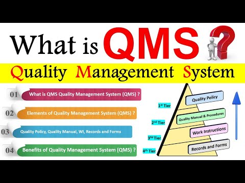 What is Quality Management System (QMS) | Elements of Quality Management System