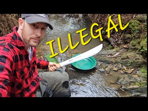 Illegal machete used to find gold. Can I make my own cash back before I hand it in?