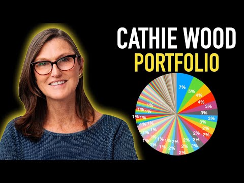 Cathie Wood Portfolio & Top 5 Investments! – Investing Made Simple – Nathan Sloan