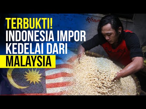 Terbukti! Indonesia Impor Kedelai Dari Malaysia