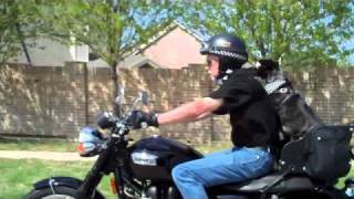 Zeb - The Motorcycle Riding Dog