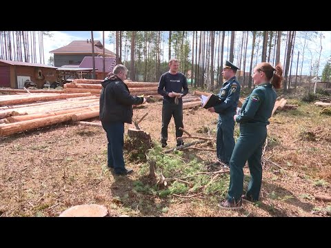 В Коми устранили 2 лесных пожара