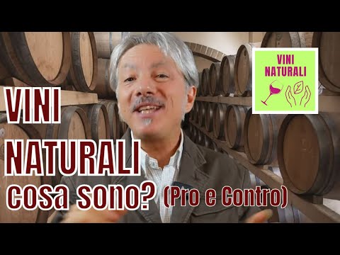 VINI NATURALI: COSA SONO? (Pro e Contro)