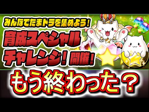 【タイミングがなぁ。。】魔法石が5個貰えます!!育成スペシャルチャレンジをサクッと終わらせよう!!【パズドラ】