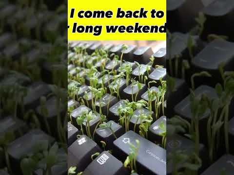 😂😂😂😂😂 Salary Monday Bangalore Jobs Corporate Life Office Culture Employee Work-Life Balance Team