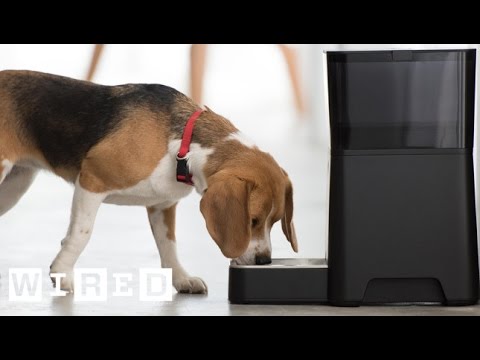 CES 2016 - Four Gadgets That Could Make Life More Convenient - UCftwRNsjfRo08xYE31tkiyw