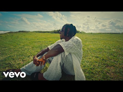 Image: Stonebwoy - Into The Future (Official Music Video) (U)