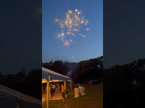 Firework explodes on dance floor #fireworks #wedding #4thofjuly #insane #lookout