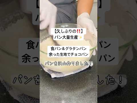 【パン大量生産♪】強力粉５００ｇ使って 食パンとグラタンパン＋余った生地でチョコパン作ってみた