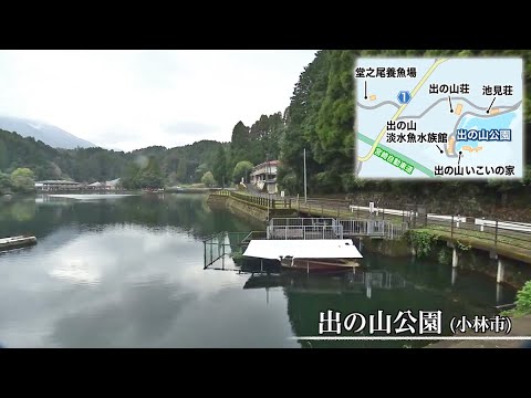 Trend#Link 小林市 秋のおでかけ 名水で育った鯉&水族館