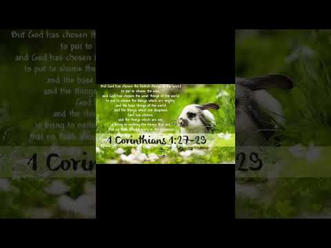 #worshipmusic #gospelmusic #christianmusic #love #dailybibleverse #bunny #rabbit #petlover