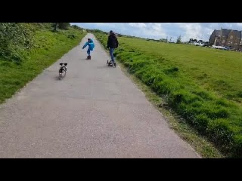 Electric Skateboard Family