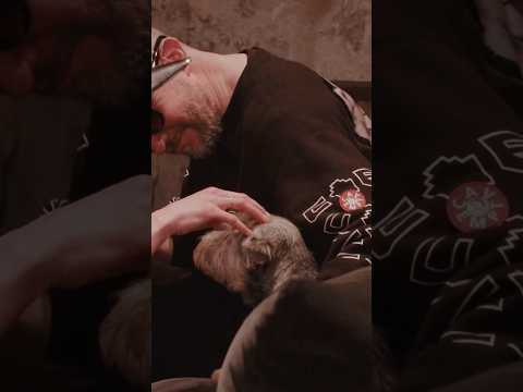 No animals were harmed making this video 🤣 We love you Kenny! 🐶 ”Do You Mind” is out everywhere!🔊