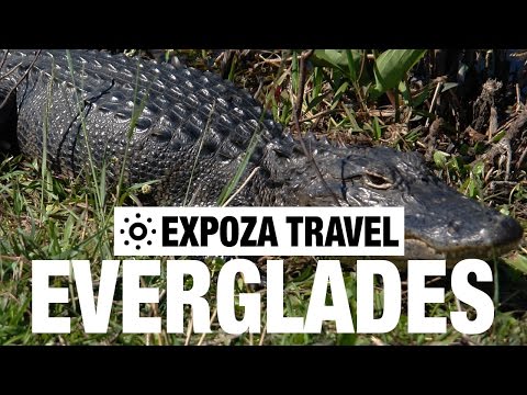 Everglades Vacation Travel Video Guide - UC3o_gaqvLoPSRVMc2GmkDrg