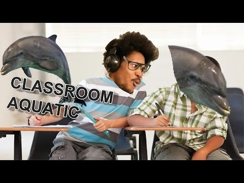 I'M A CHEATER | Classroom Aquatic - UCiYcA0gJzg855iSKMrX3oHg